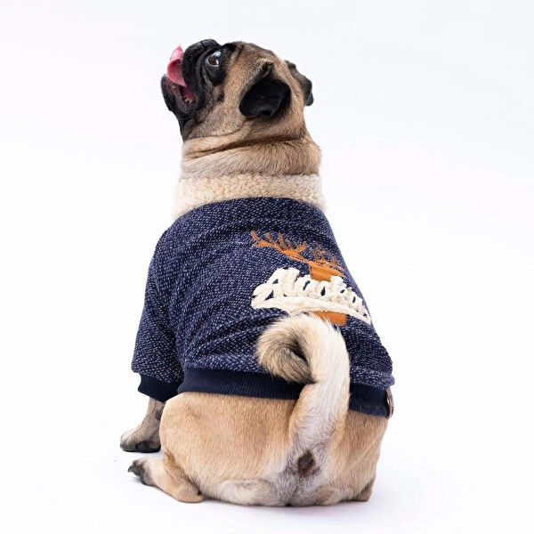 PawStar Köpek Kafesi, Aksesuarları