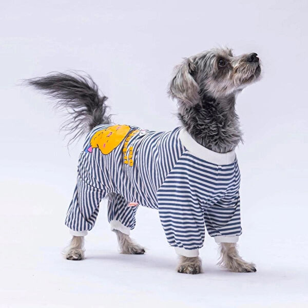 PawStar Köpek Elbisesi