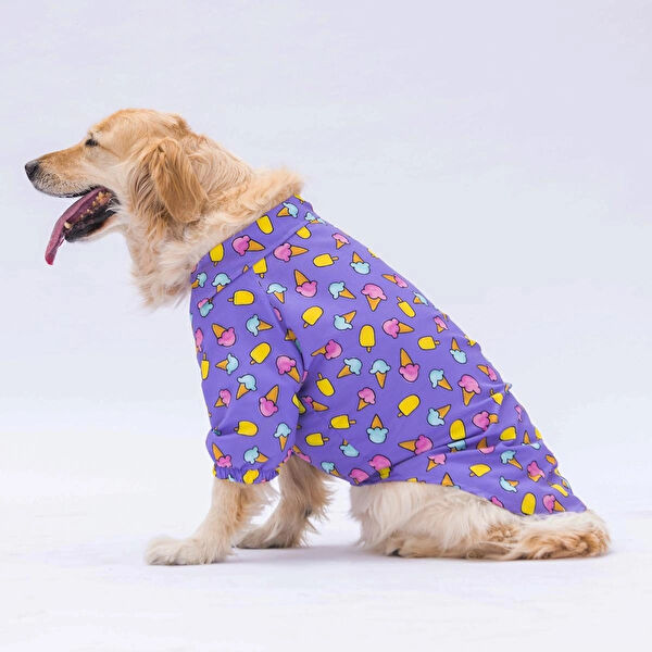 PawStar Köpek Elbisesi