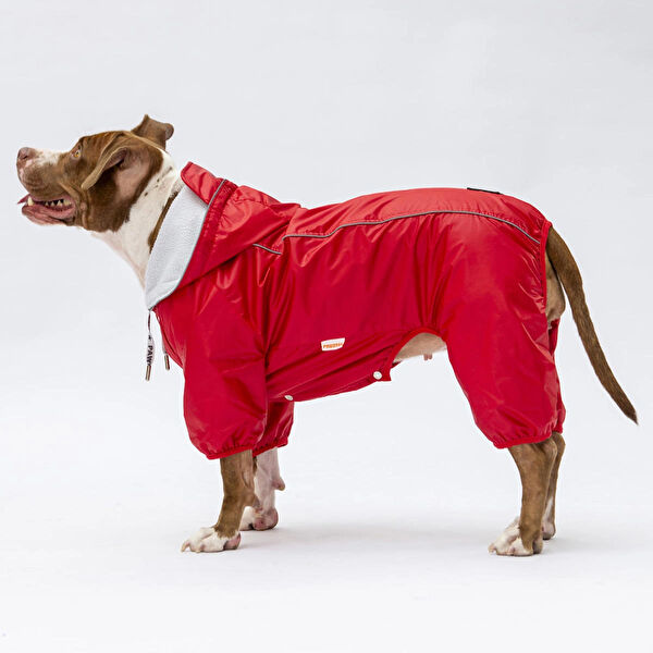 PawStar Köpek Elbisesi