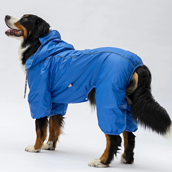 PawStar Köpek Elbisesi