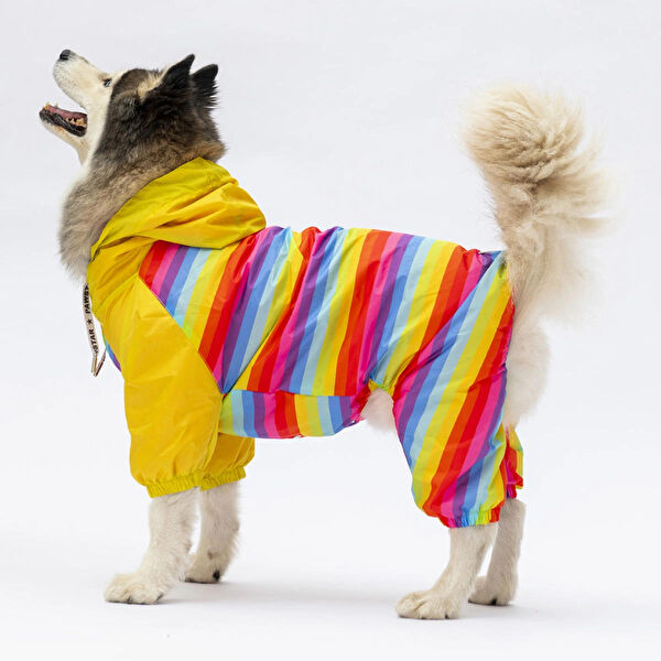 PawStar Köpek Elbisesi