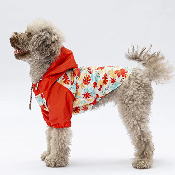 PawStar Köpek Elbisesi