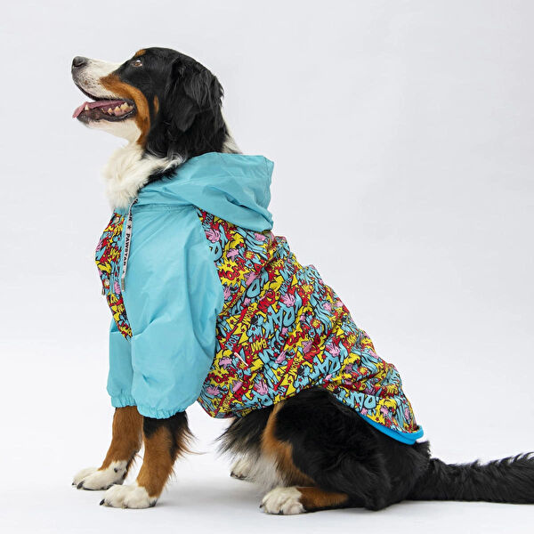 PawStar Köpek Elbisesi