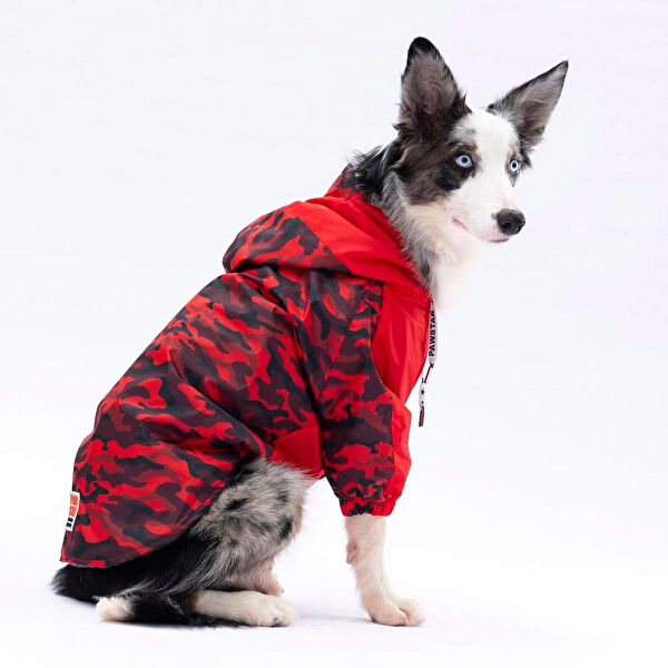 PawStar Köpek Elbisesi