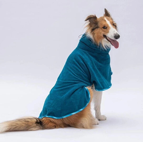 PawStar Köpek Elbisesi