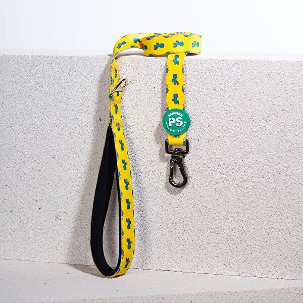 PawStar Köpek Tasmaları