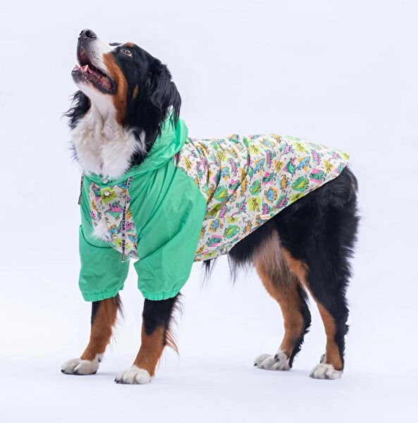 PawStar Köpek Elbisesi