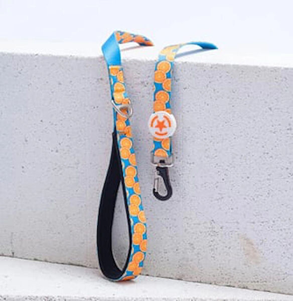 PawStar Köpek Tasmaları