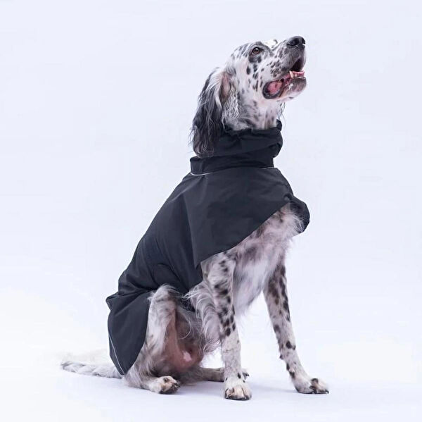 PawStar Köpek Elbisesi