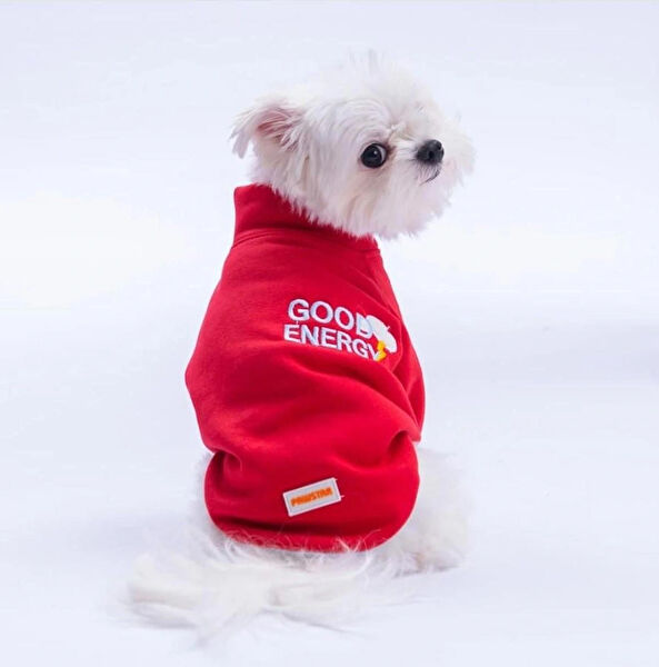 PawStar Köpek Elbisesi