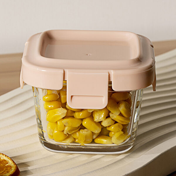 Karaca Saklama Kabı