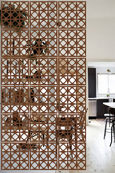 Lucena Paravan, Seperatör