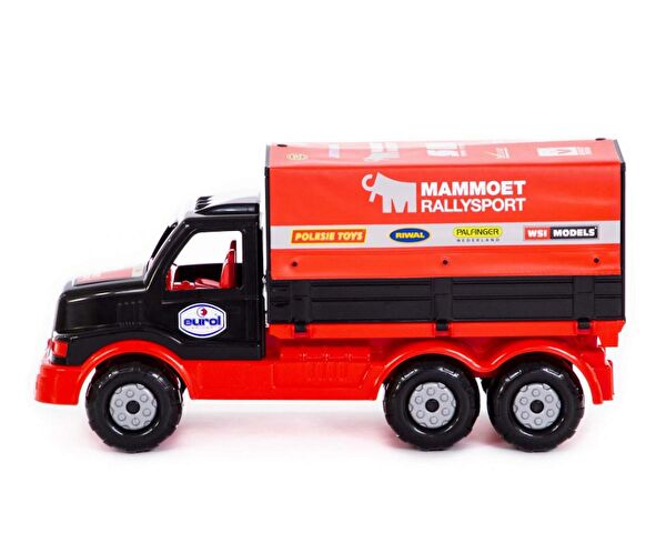 Polesie Eğitici Oyuncaklar