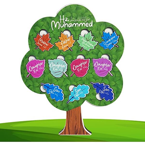 Eğitici Hobi Eğitici Oyuncaklar