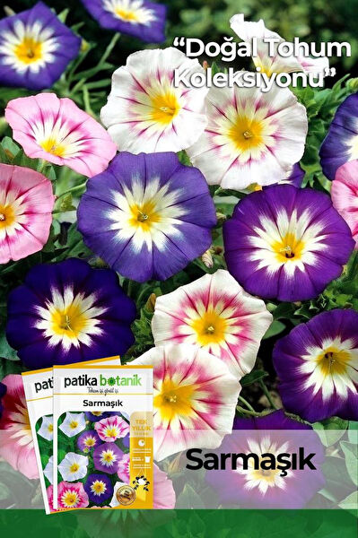 Patika Botanik Tohum