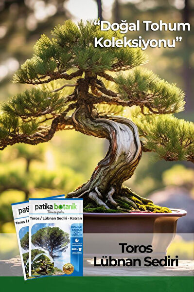 Patika Botanik Tohum