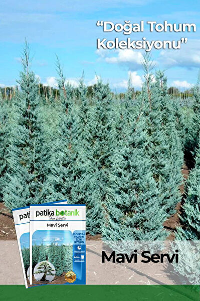 Patika Botanik Tohum