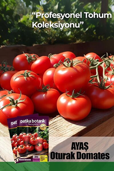 Patika Botanik Tohum