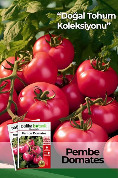 Patika Botanik Tohum