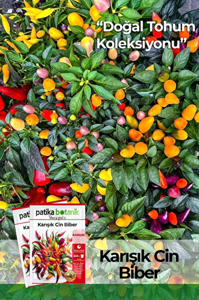 Patika Botanik Tohum