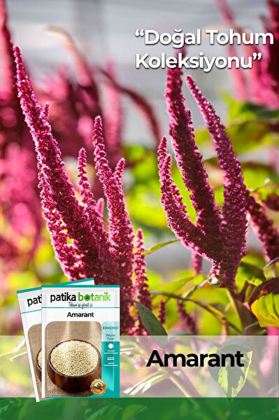 Patika Botanik Tohum