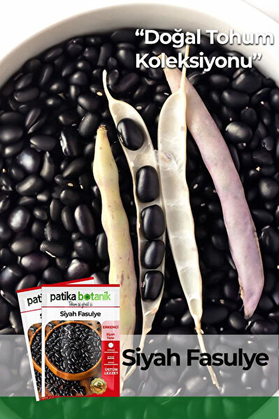 Patika Botanik Tohum