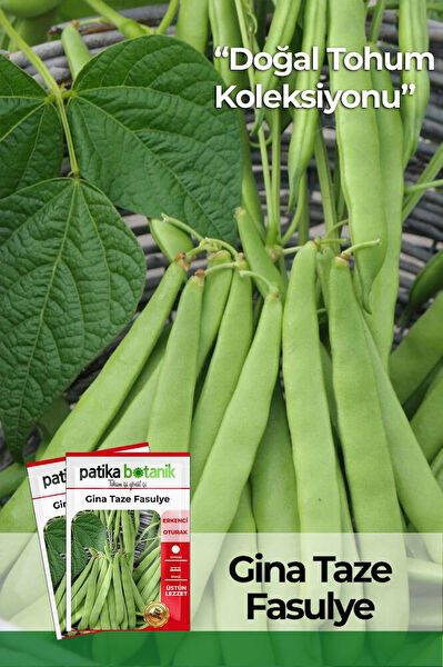 Patika Botanik Tohum