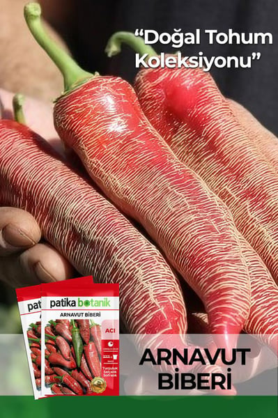 Patika Botanik Tohum