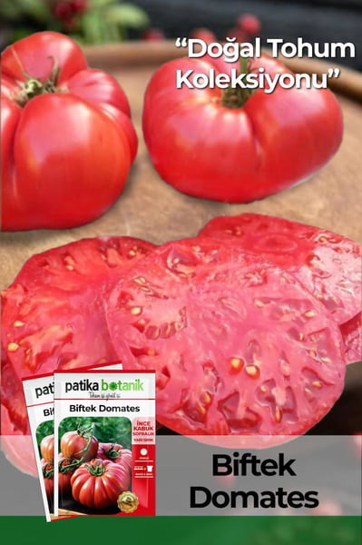 Patika Botanik Tohum