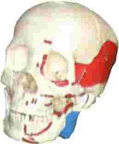 medikalcim Laboratuvar Malzemeleri