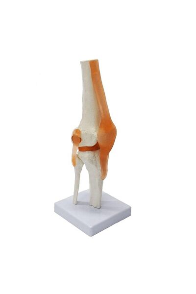 medikalcim Laboratuvar Malzemeleri