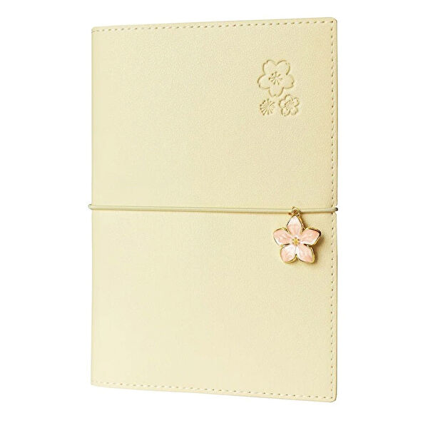 Vj Bruno Defter, Ajanda