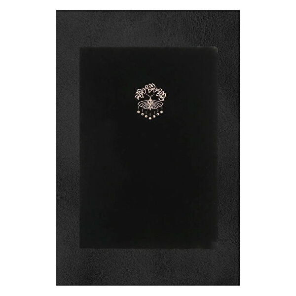 Vj Bruno Defter, Ajanda