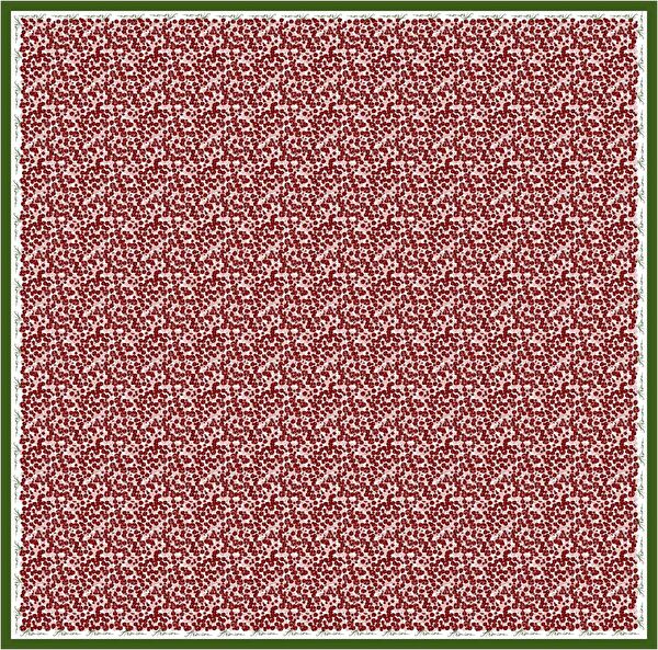 Armine Şal, Eşarp ve Aksesuarı