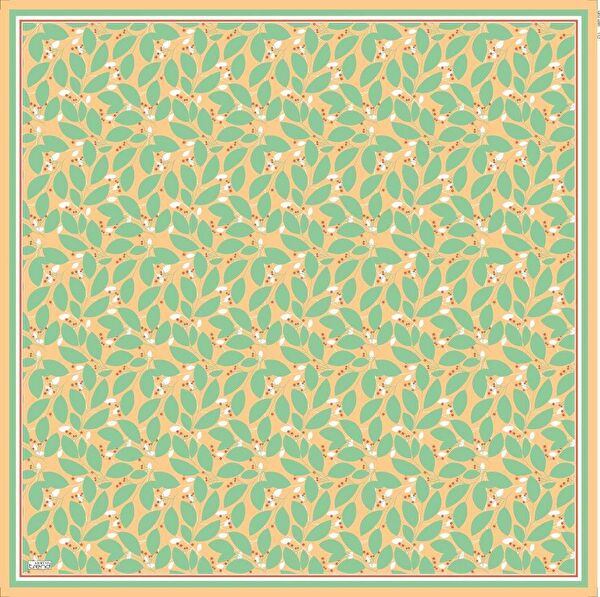 Armine Şal, Eşarp ve Aksesuarı