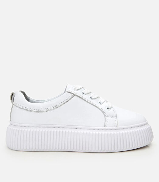 Hotiç Kadın Sneaker Ayakkabı