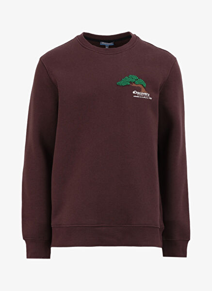 Discovery Expedition Erkek Sweatshirt