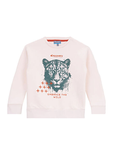 Discovery Expedition Erkek Çocuk Sweatshirt