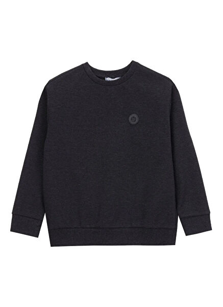 Discovery Expedition Erkek Çocuk Sweatshirt