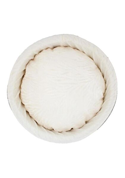 Lepus Köpek Yatağı