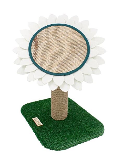 Lepus Kedi Tırmalama