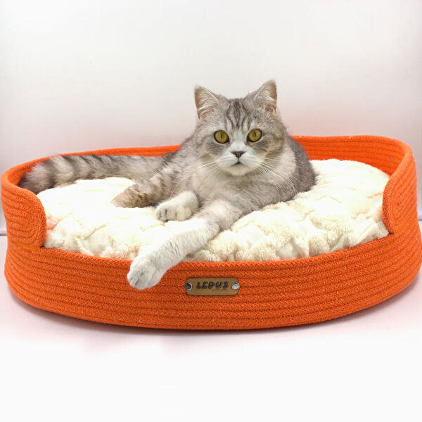 Lepus Köpek Yatağı