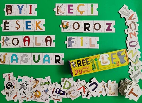 Kolektif Aktivite ve Zeka Gelişim Kitapları