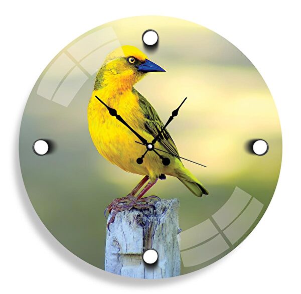 EMYA HOME Dekoratif Duvar Saati