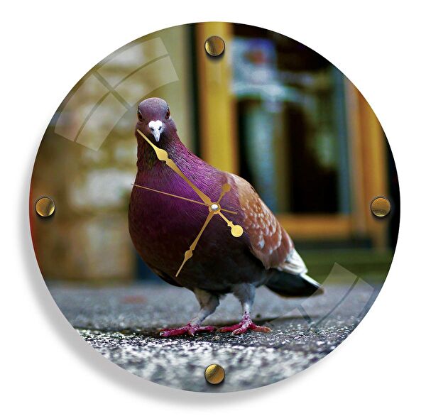 EMYA HOME Dekoratif Duvar Saati