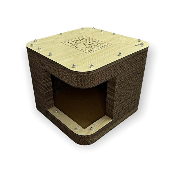 Fancy Kedi Tırmalama