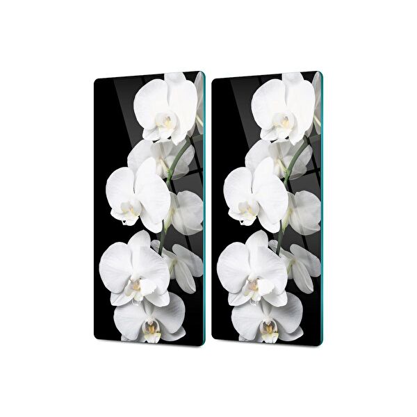 Decovetro Servis, Sunum Tabakları