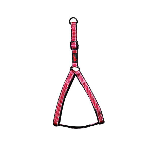 Natura Pet Köpek Tasmaları