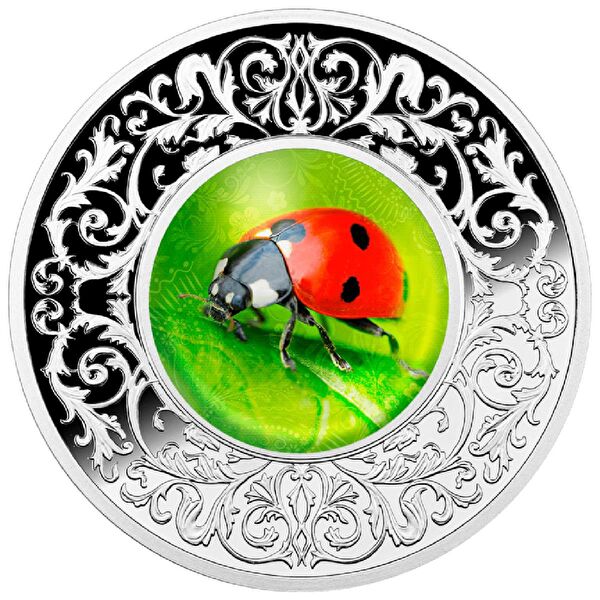 AgaKulche Külçe, Gram Gümüş